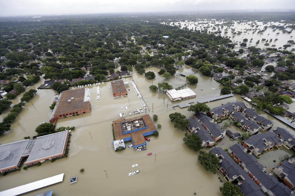 Harvey